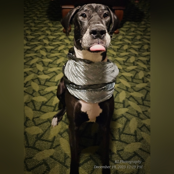 Hello! If you are here, thank you for checking out my page. I appreciate you! 🧡 - Picture 6 of 6